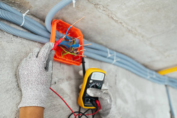 Best Electrical Rewiring Services  in Holiday Shores, IL