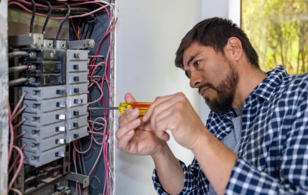Best Electrical Repair Services  in Holiday Shores, IL